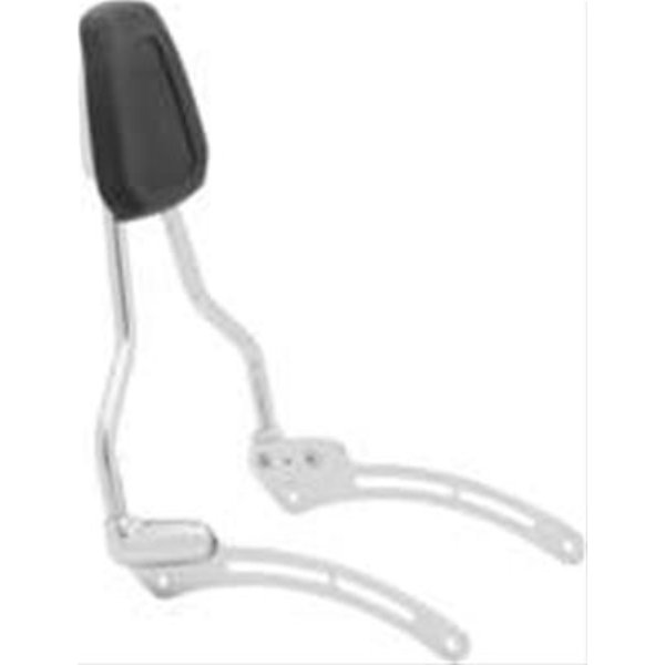 6581 19 in. Sissy Bar for 2018 Indian Scout