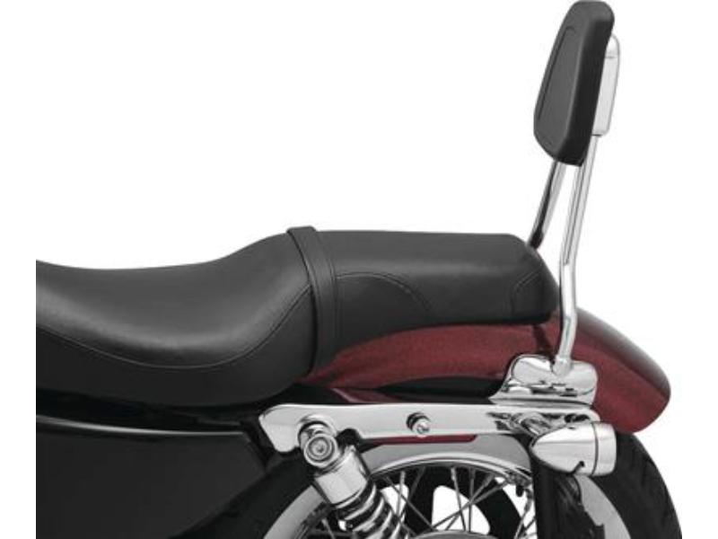 6582 Sissy Bar for 2019 Harley-Davidson Forty Eight