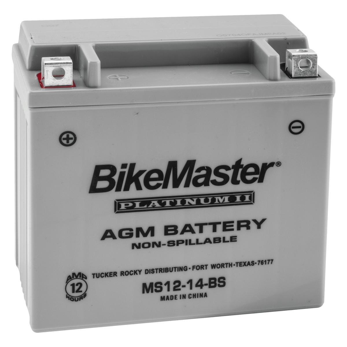 780713 AGM Platinum II Battery