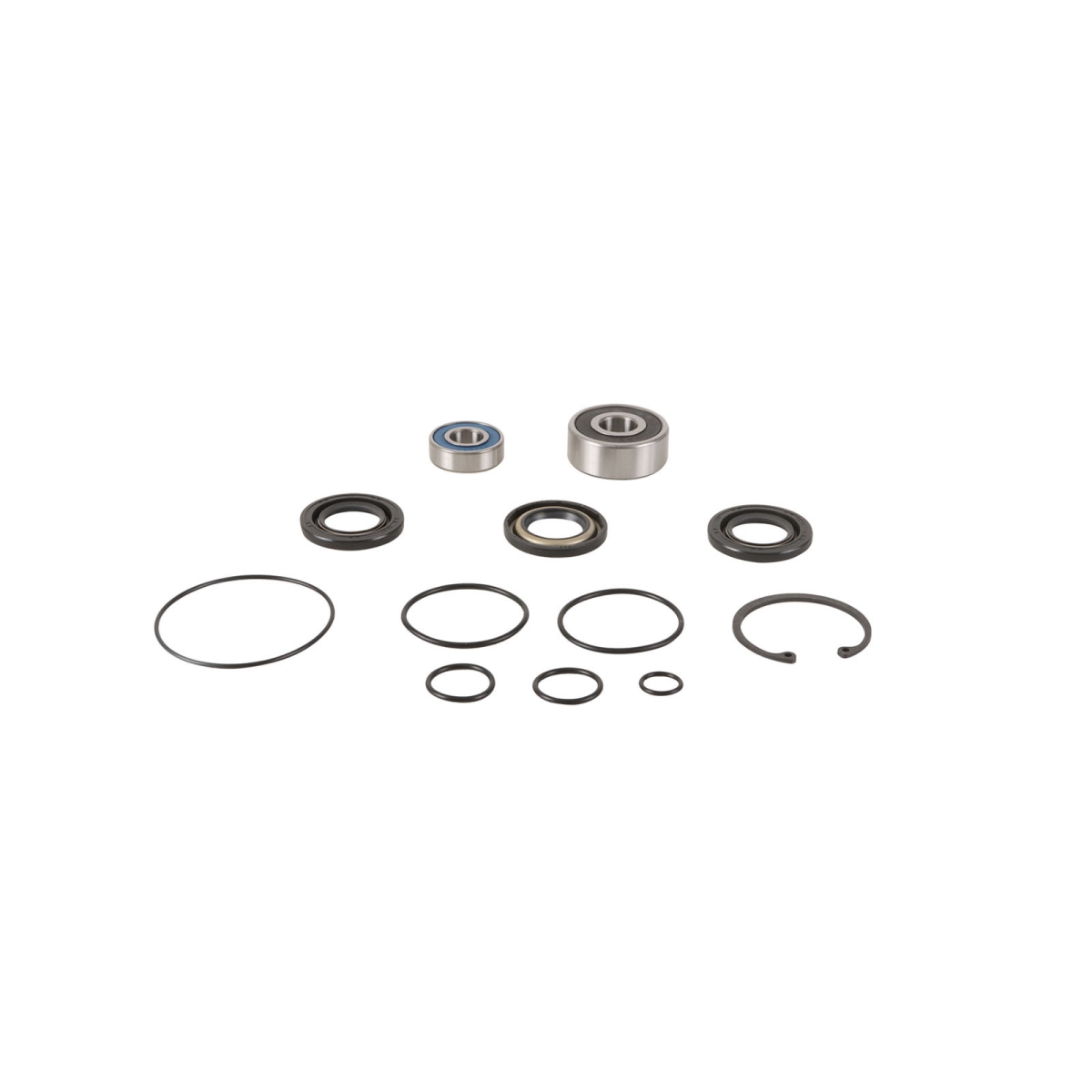 All Balls Racing 14-3011 Jet Pump Rebuild Kit