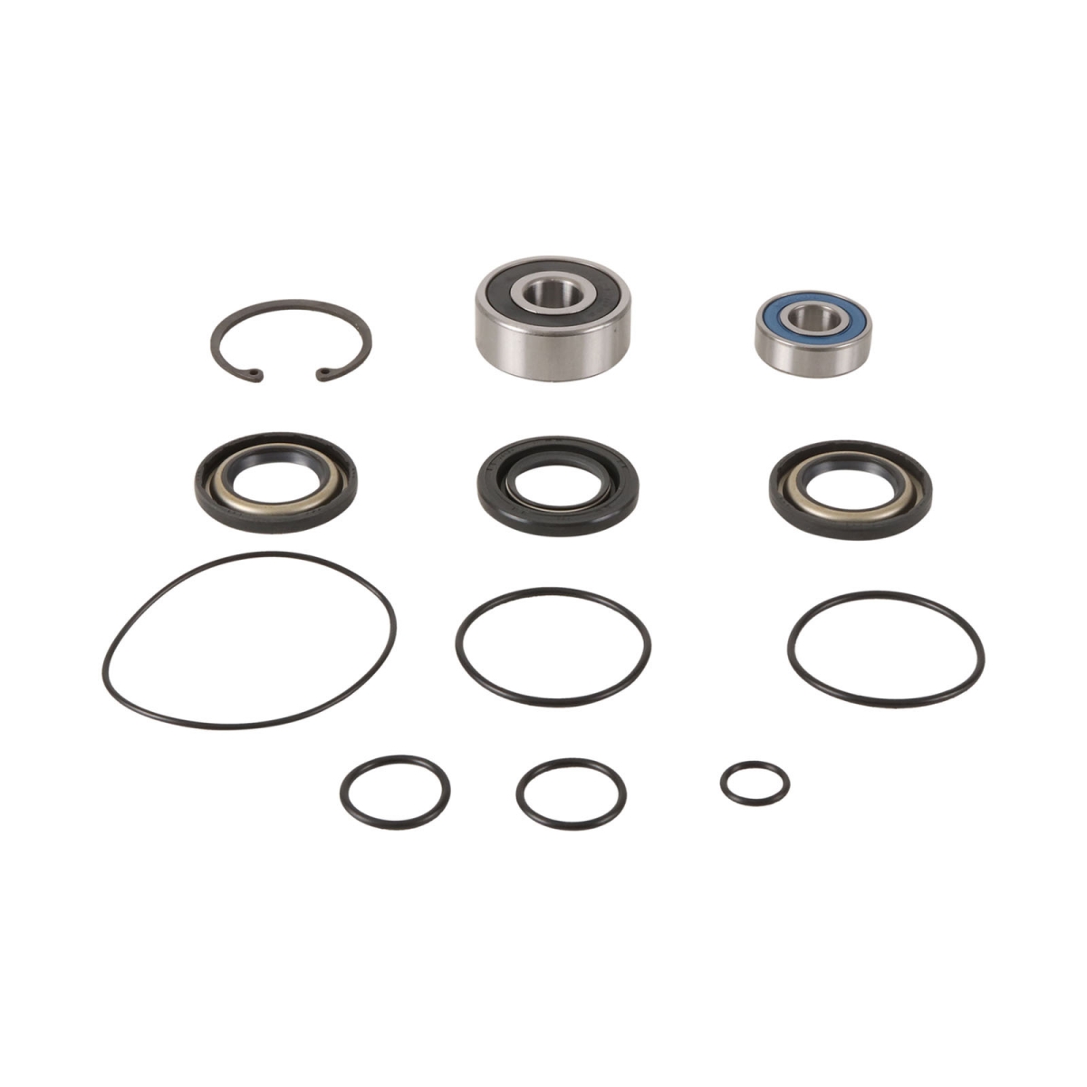 All Balls Racing 14-3008 Jet Pump Rebuild Kit