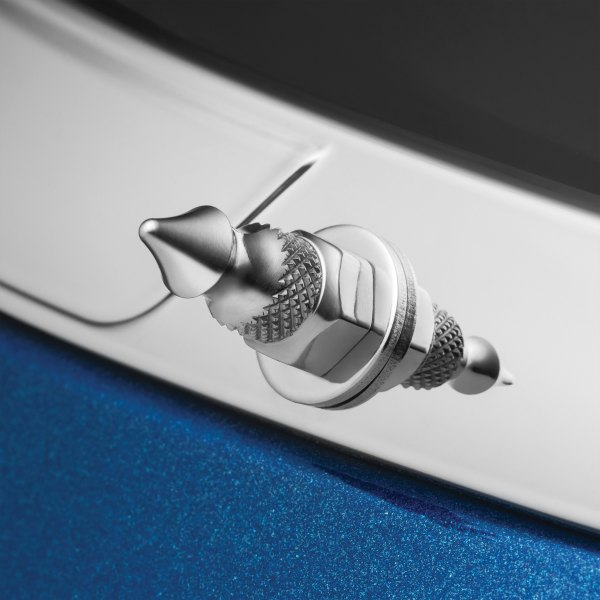Windshield Spikes - Chrome