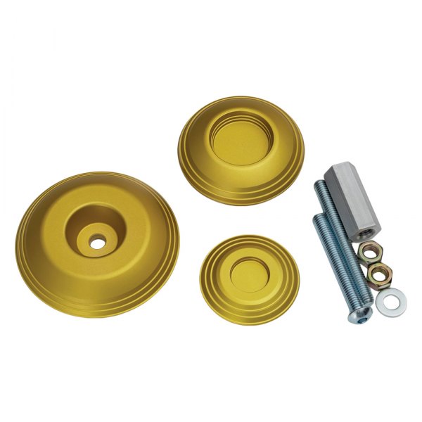 Lodestar Rear Axle Sliders for BMW - Gold