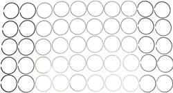 2243503WR030 144060-030 PCR Piston with Rings for Ford 6.0L Diesel V8, Set of 8