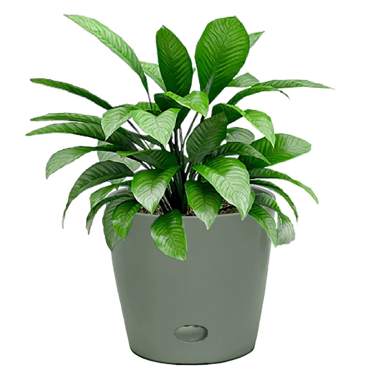 5-70002 7in. Sage Green Round Self-Watering Bamboo Pot