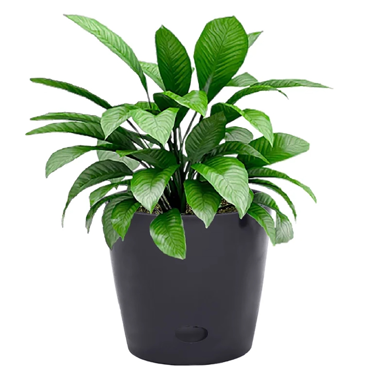 7in. Black Round Self-Watering Bamboo Pot