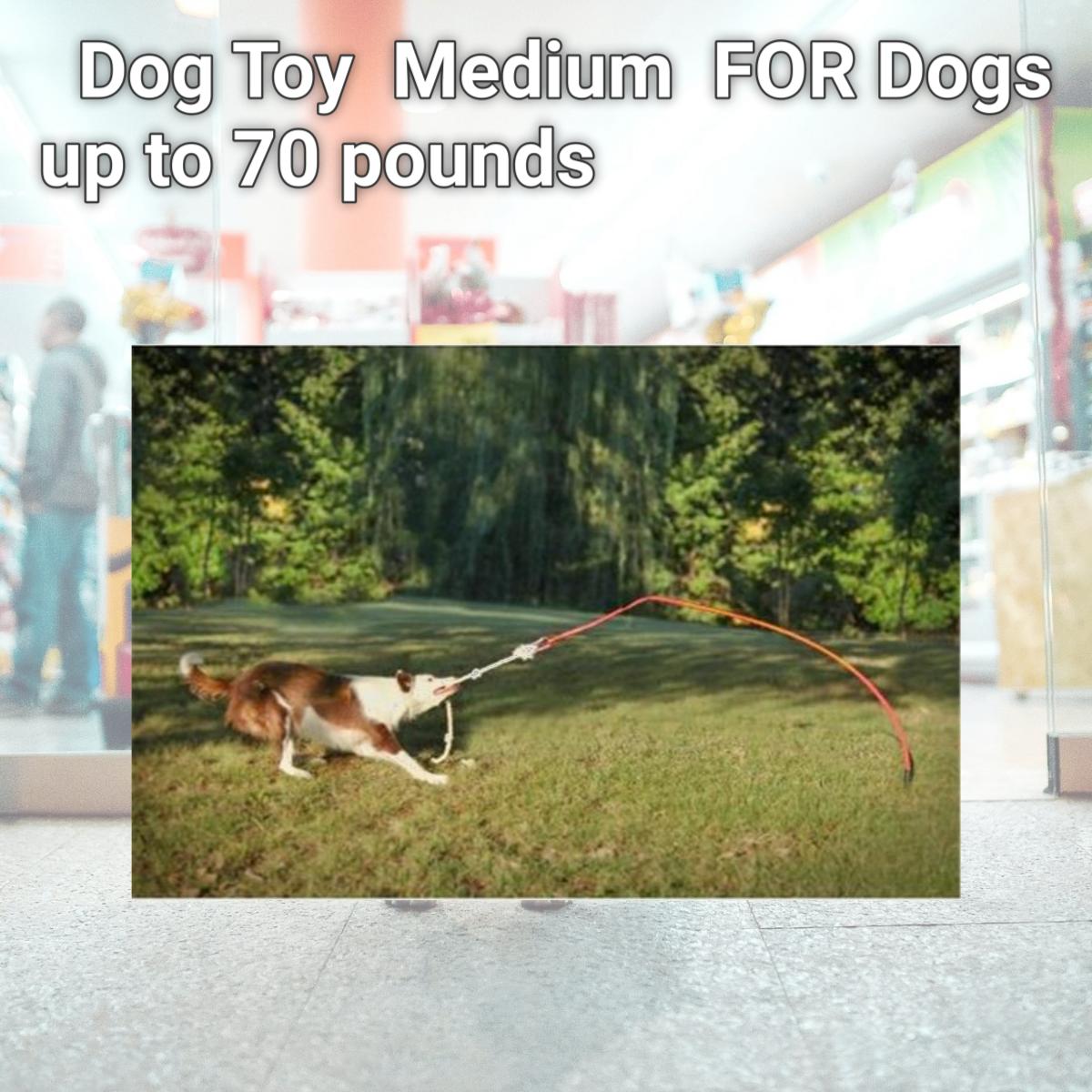 Picture of Tether Tug Tether Tug Dog Toy  Medium  FOR Dogs up to 70 pounds