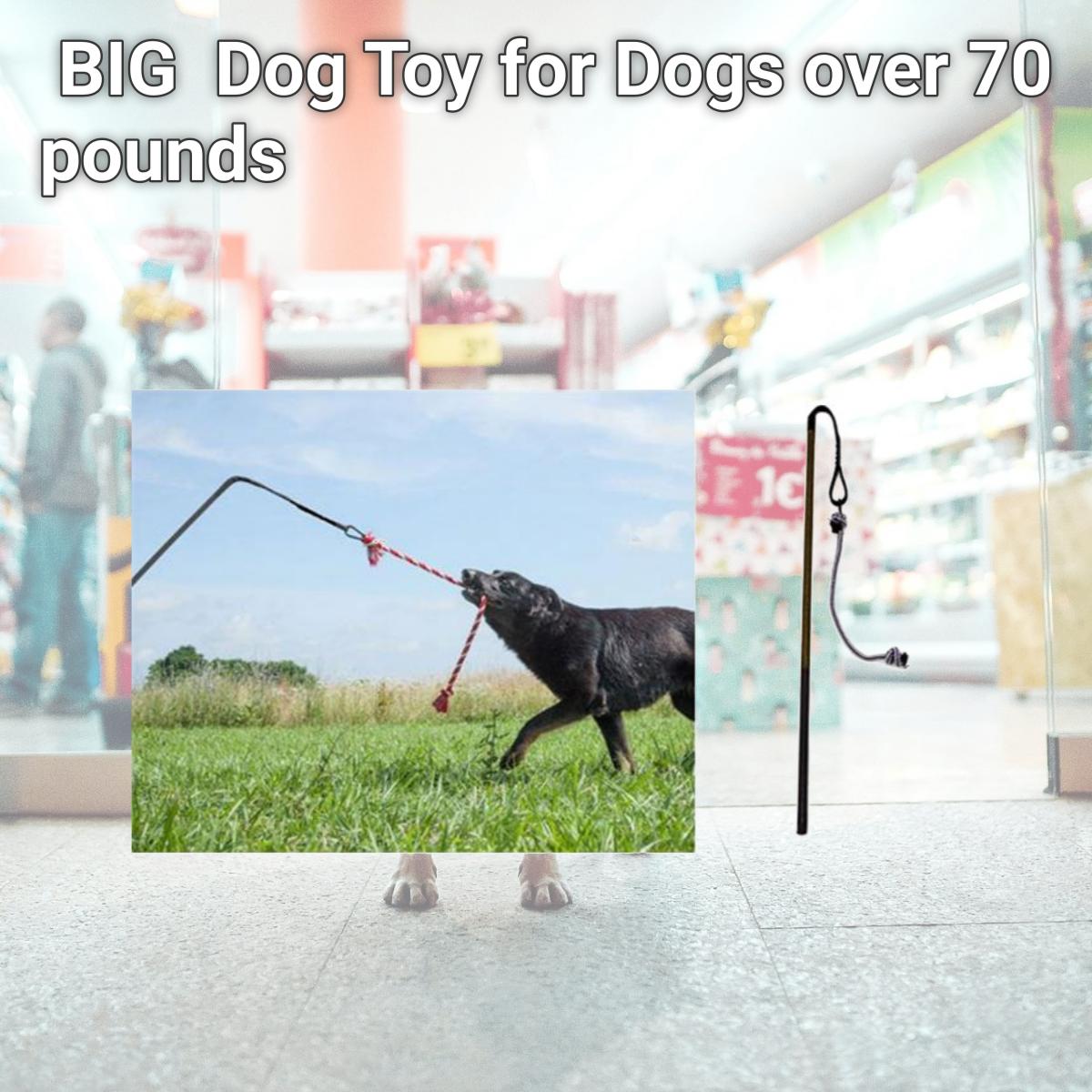 Picture of Tether Tug BIG Tether Tug Dog Toy for Dogs over 70 pounds