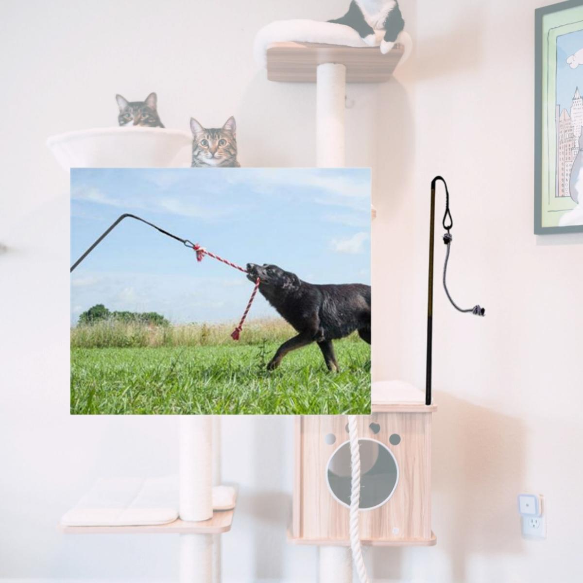 Picture of Tether Tug BIG Tether Tug Dog Toy for Dogs over 70 pounds