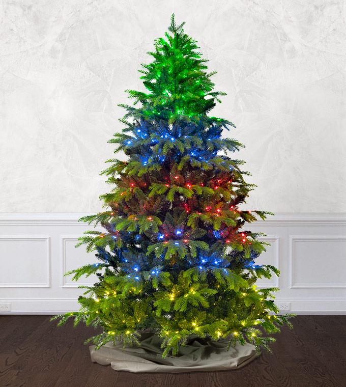 7.5 ft. Magic Hemlock Artificial Christmas Tree