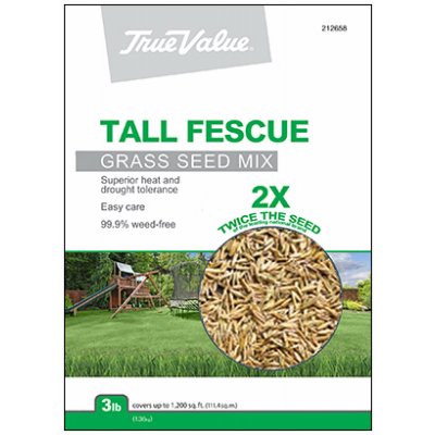 Picture of Barenbrug USA 212658 TV 3LB Tall Fescue Seed, TV 3 lbs Tall Fescue Seed