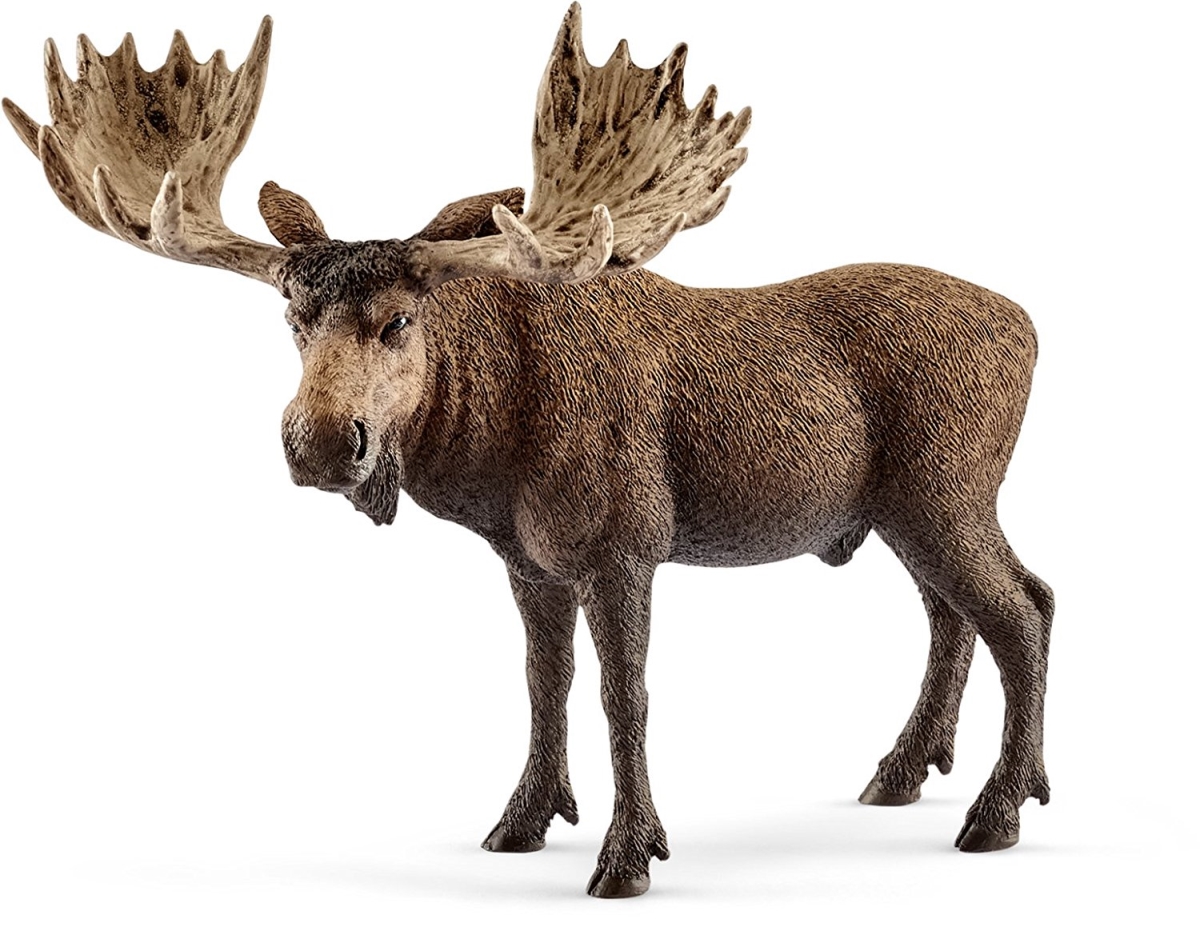 Picture of Schleich North America 224471 Moose Bull Figure&#44; Brown