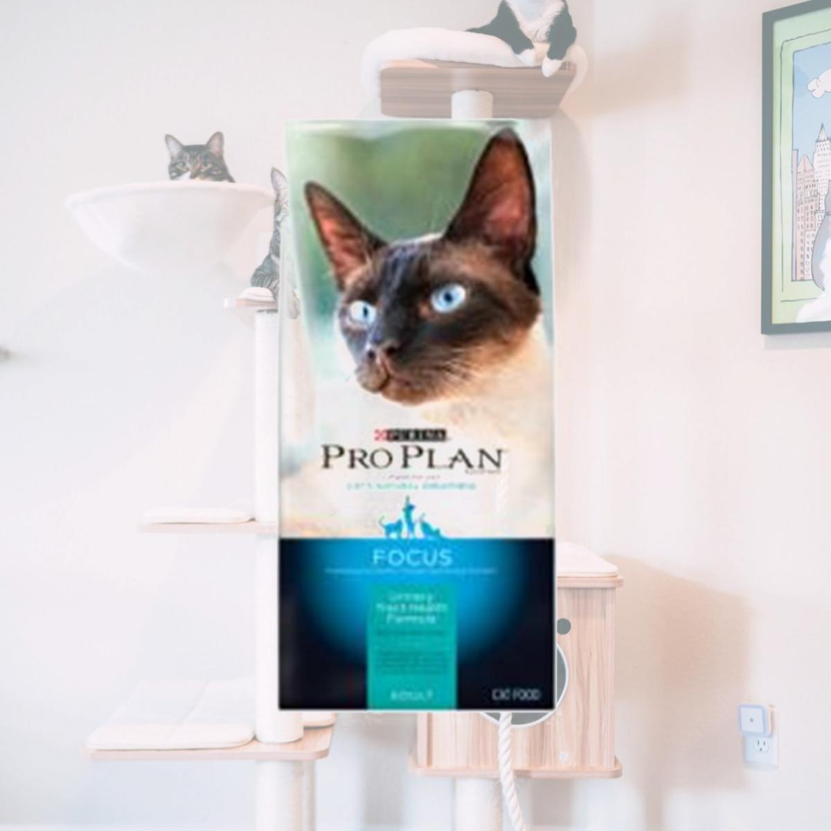 Picture of American Distribution 217073 7 lbs Purina Pro Plan Urinary Tract Health Dry Cat Food