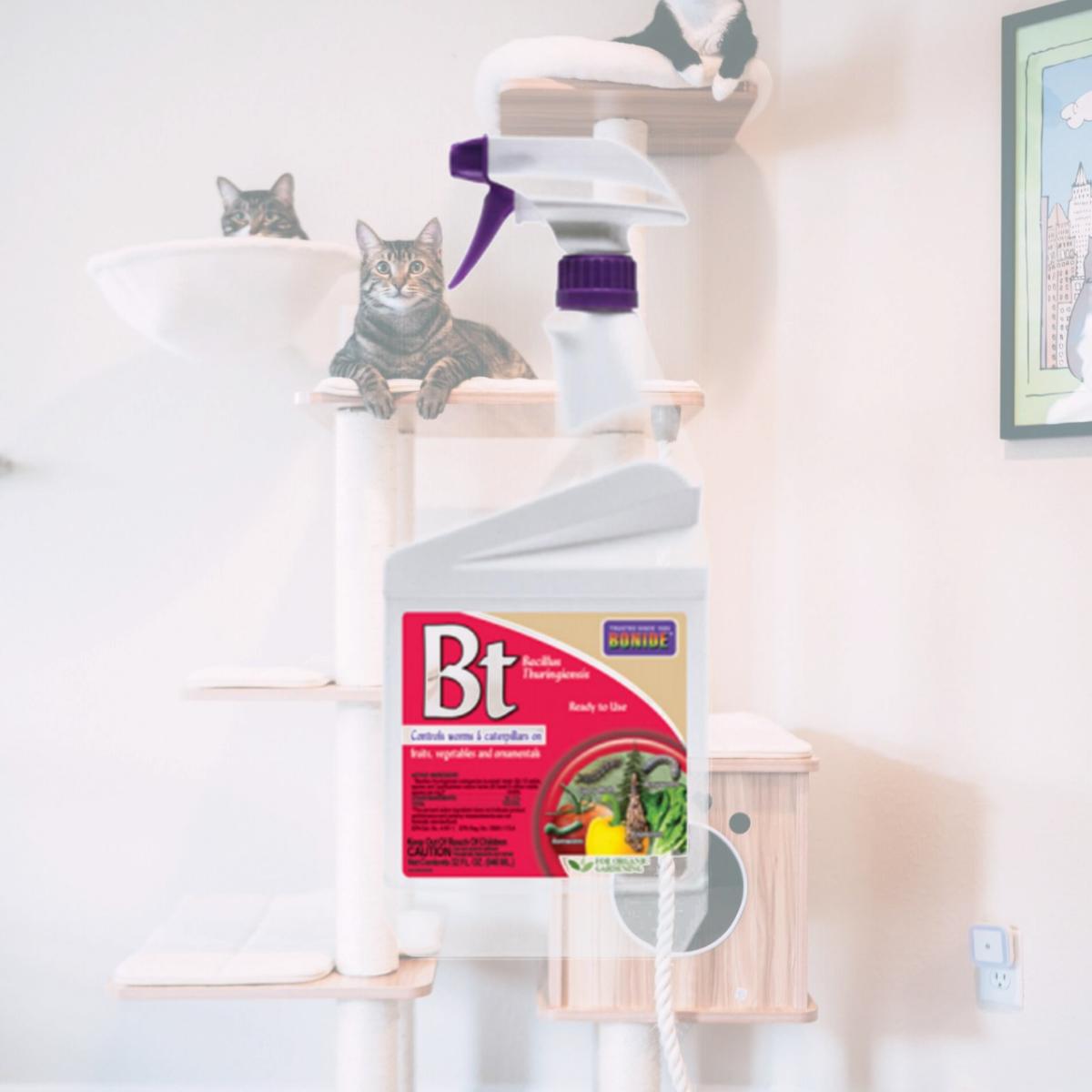 Picture of Bonide Products 225565 1 qt BT Thuricide Spray