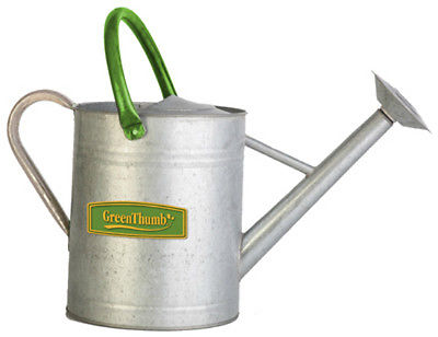 Products  2 gal Green Thumb Vintage Galvanized Watering Can