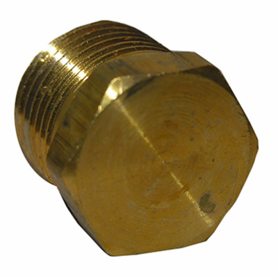 0.25 in. Male Pipe Thread Hex Head Plug