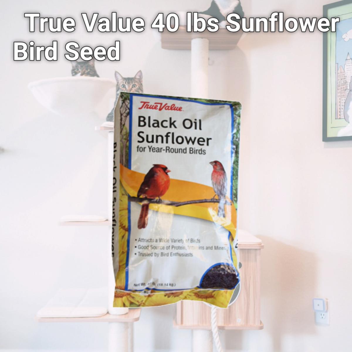 Picture of JRK Seed & Turf Supply 164436 True Value 40 lbs Sunflower Bird Seed