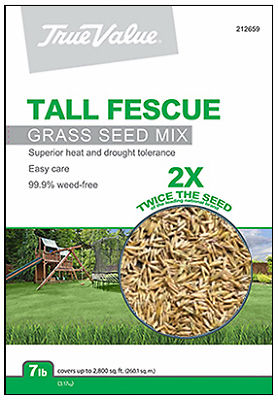 Picture of Barenbrug USA 225275 5 lbs Winter Wonderlawn Grass Seed
