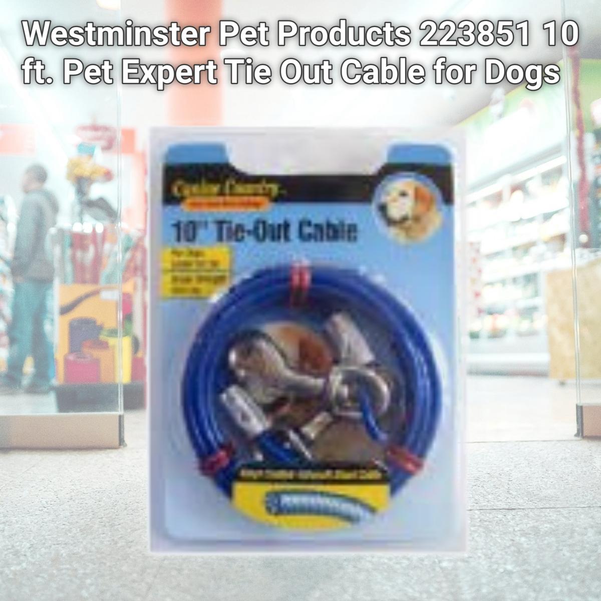 Picture of Westminster Pet Products 223851 10 ft. Pet Expert Tie Out Cable for Dogs