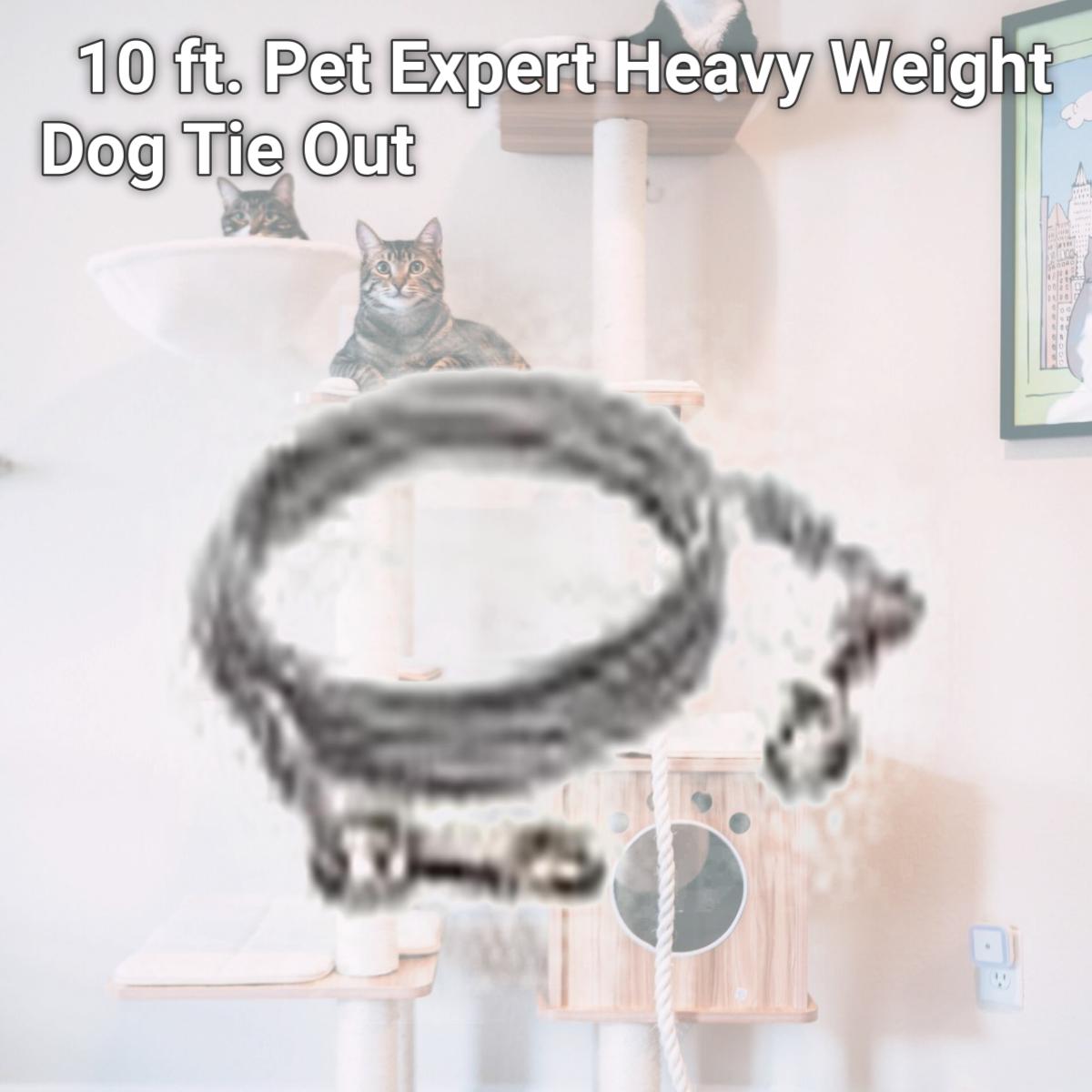 Picture of Westminster Pet Products 223854 10 ft. Pet Expert Heavy Weight Dog Tie Out