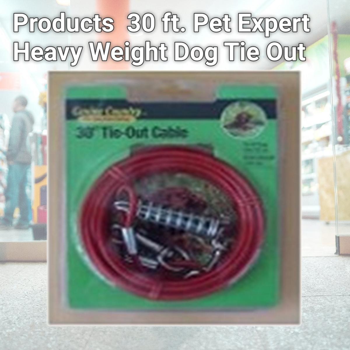 Picture of Westminster Pet Products 223857 30 ft. Pet Expert Heavy Weight Dog Tie Out