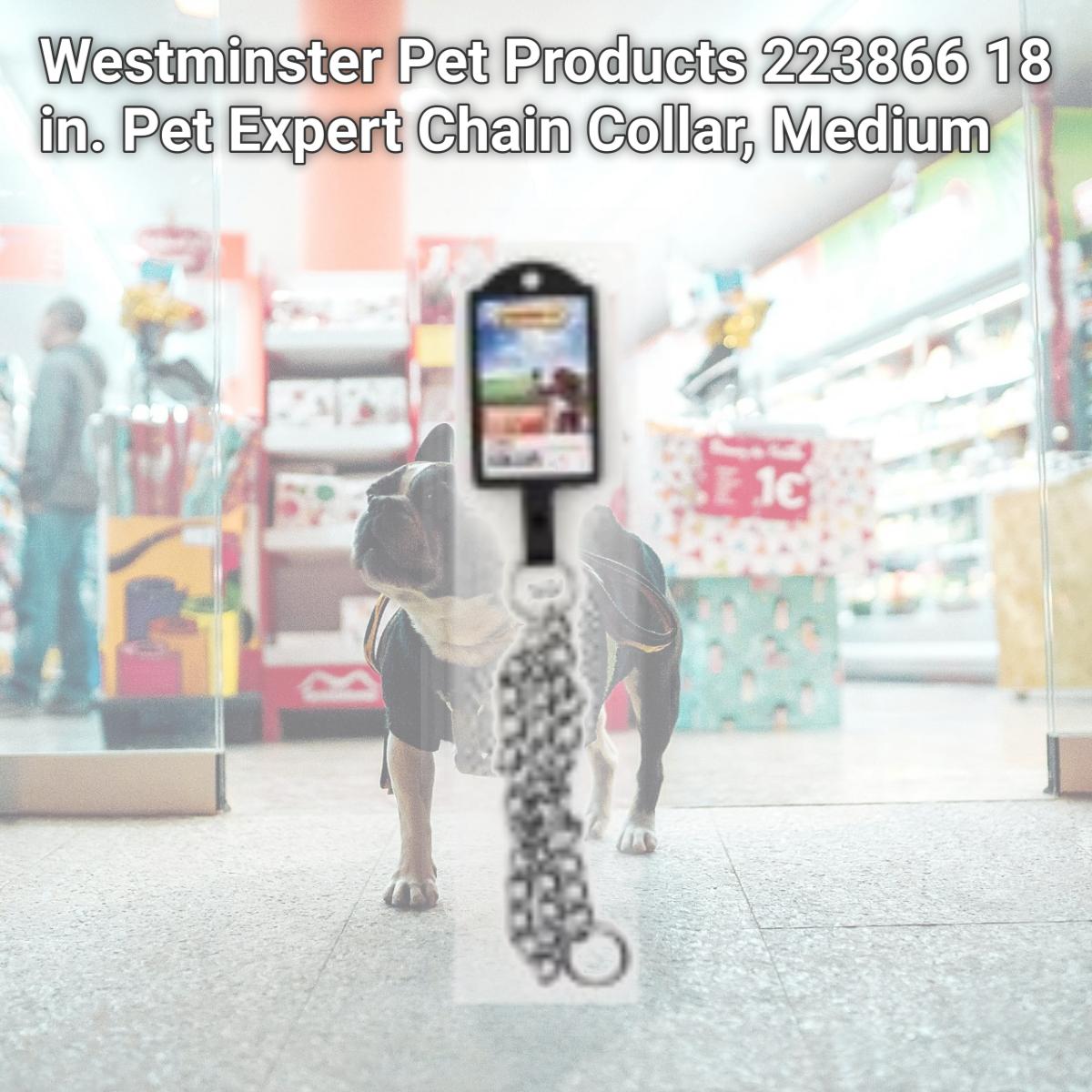 Picture of Westminster Pet Products 223866 18 in. Pet Expert Chain Collar, Medium