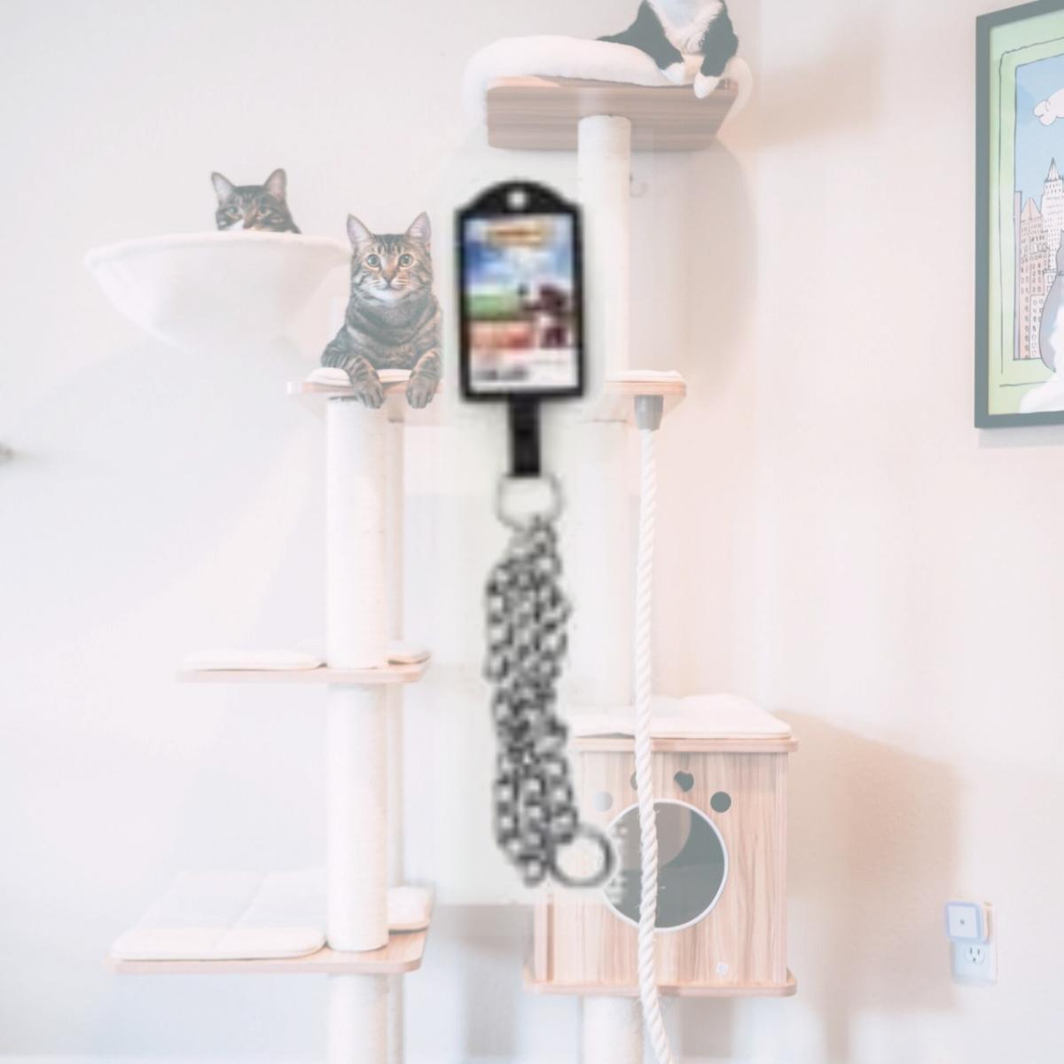 Picture of Westminster Pet Products 223866 18 in. Pet Expert Chain Collar, Medium