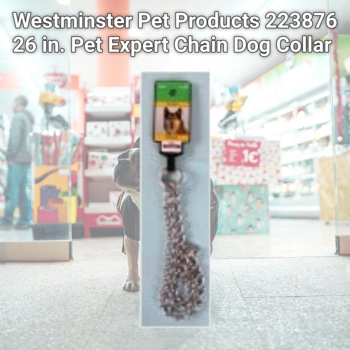 Picture of Westminster Pet Products 223876 26 in. Pet Expert Chain Dog Collar