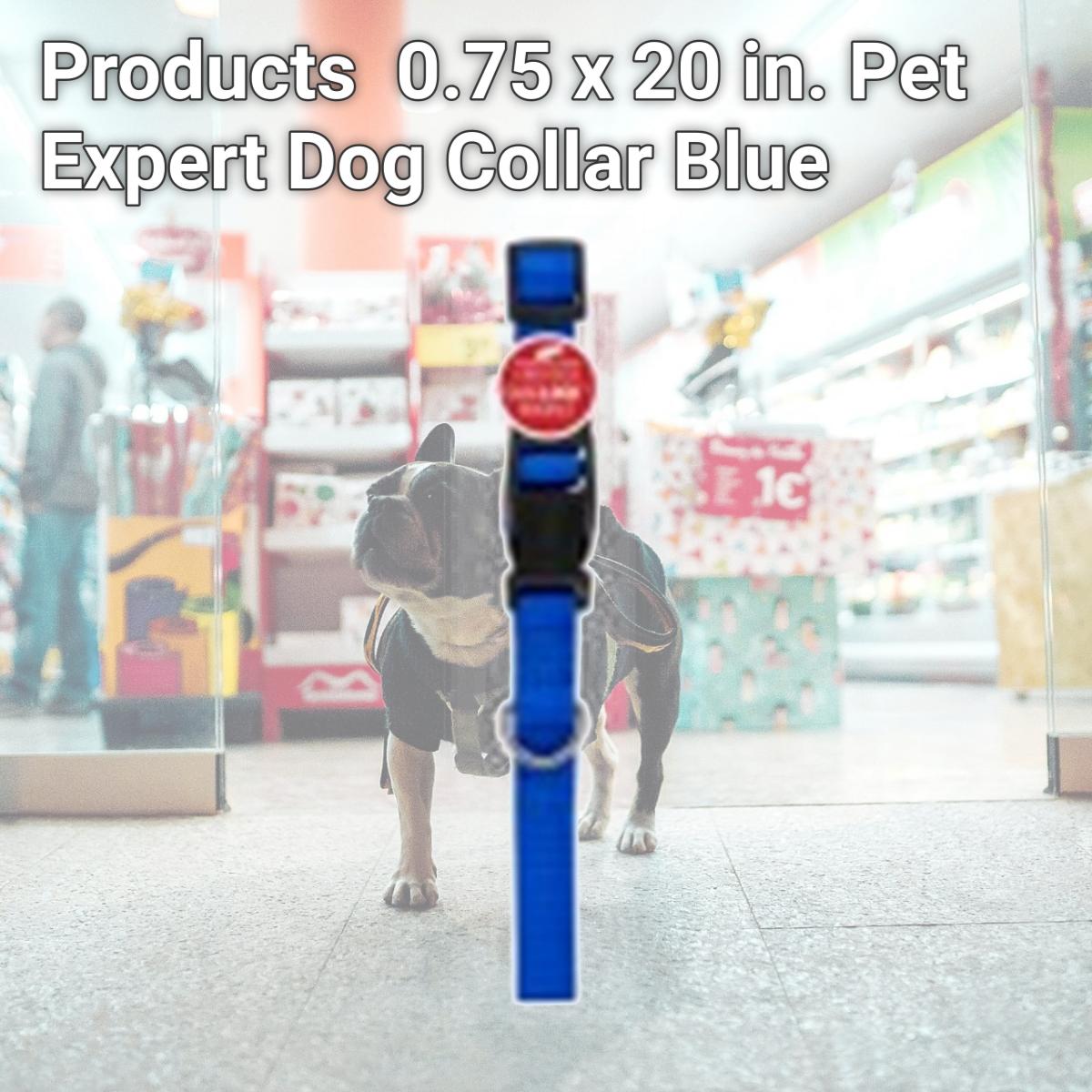 Picture of Westminster Pet Products 223886 0.75 x 20 in. Pet Expert Dog Collar, Blue
