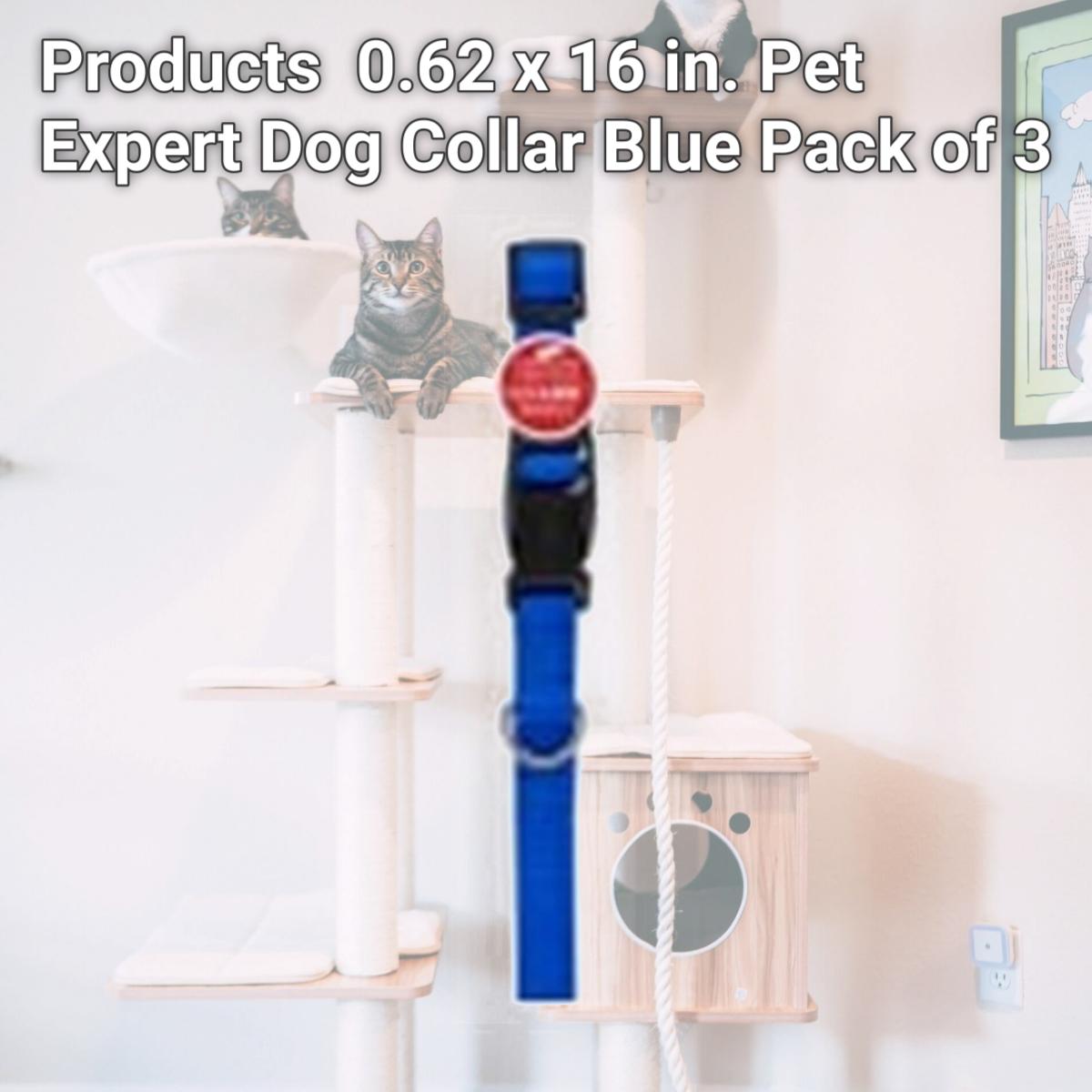 Picture of Westminster Pet Products 223887 0.62 x 16 in. Pet Expert Dog Collar  Blue Pack of 3