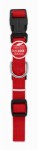 Picture of Westminster Pet Products 223994 1 x 26 in. Pet Expert Dog Collar, Red