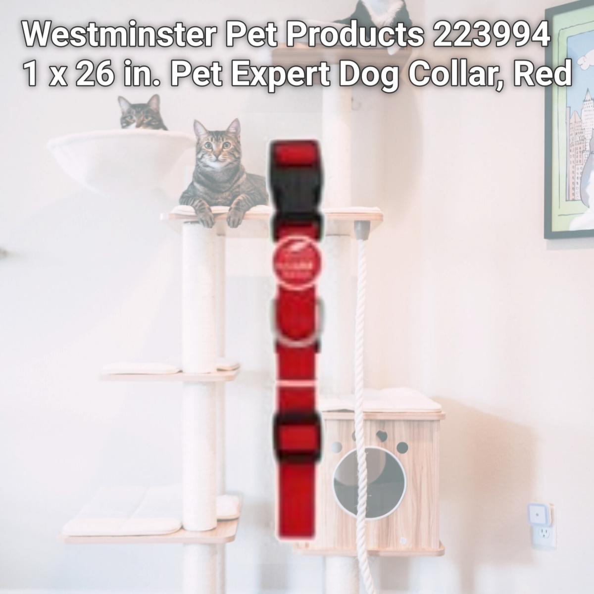 Picture of Westminster Pet Products 223994 1 x 26 in. Pet Expert Dog Collar, Red