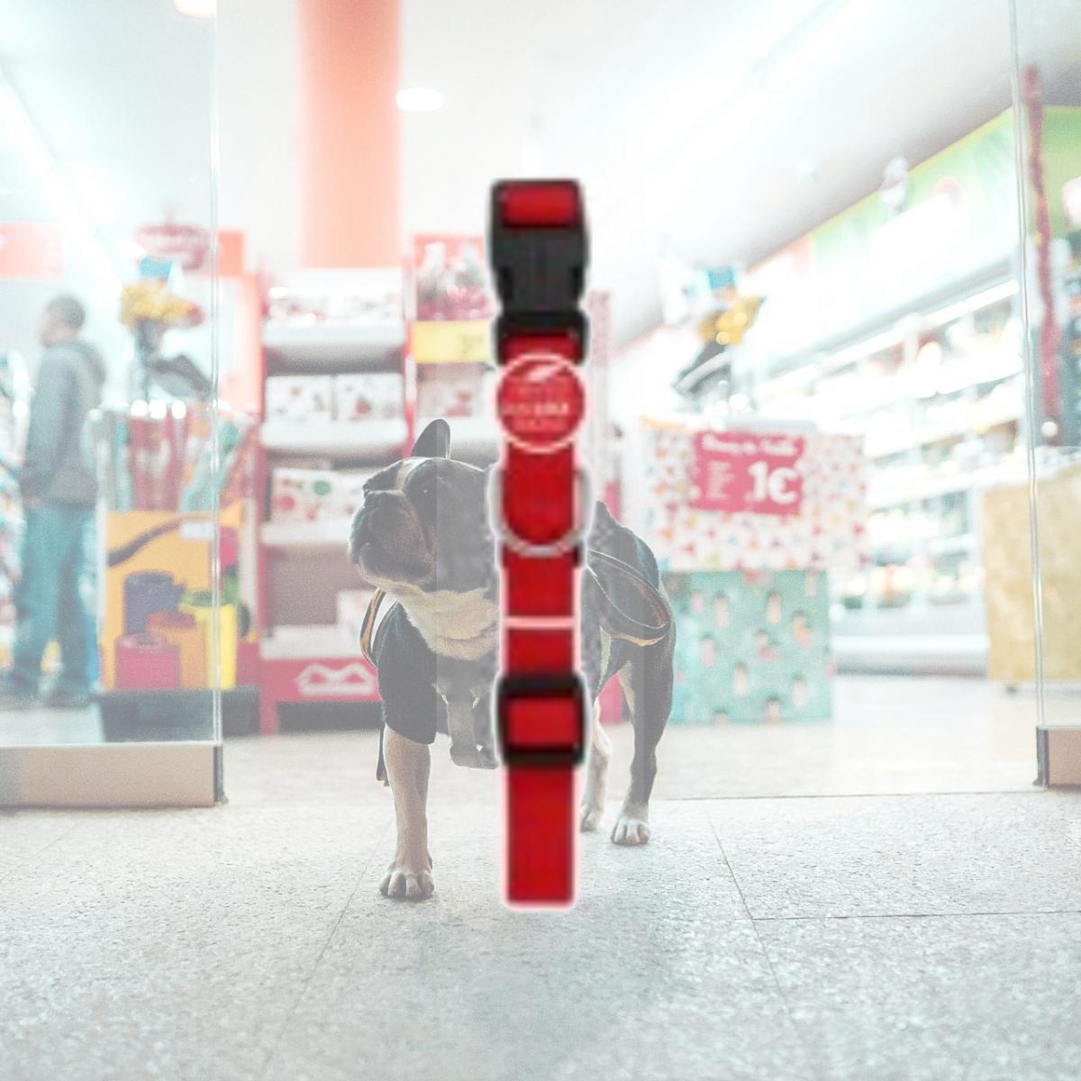 Picture of Westminster Pet Products 223994 1 x 26 in. Pet Expert Dog Collar, Red