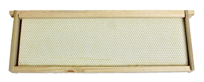 Bee Hive Foundation, Plastic/Wood, For: 6-7/8 in Medium Honey Super Boxes