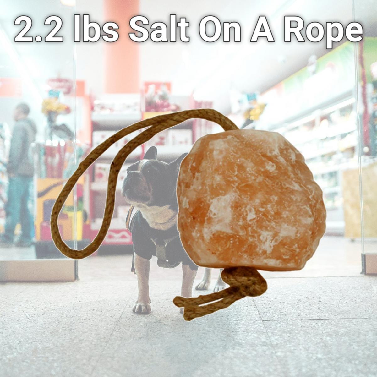Picture of Horsemens Pride 214351 2.2 lbs Salt On A Rope