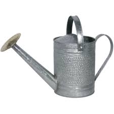 1 gal James Galvanized Watering Can