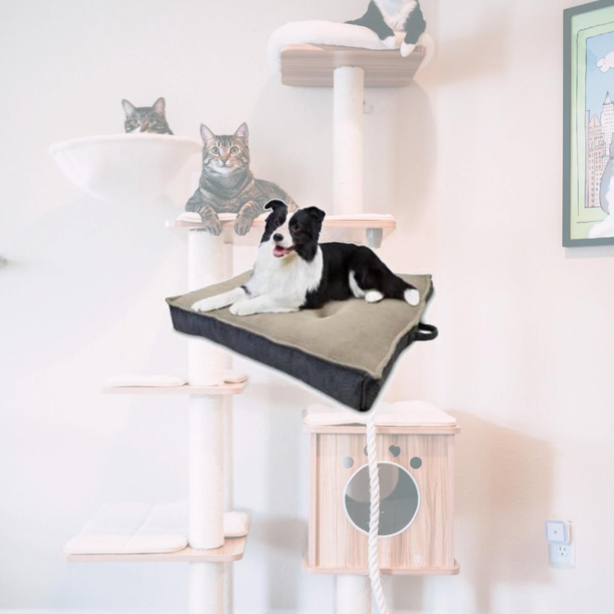 Picture of European Home Designs 230743 36 in. Jumbo Square Pet Bed