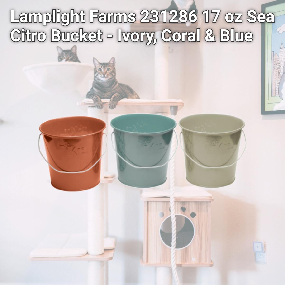 Picture of Lamplight Farms 231286 17 oz Sea Citro Bucket - Ivory, Coral & Blue