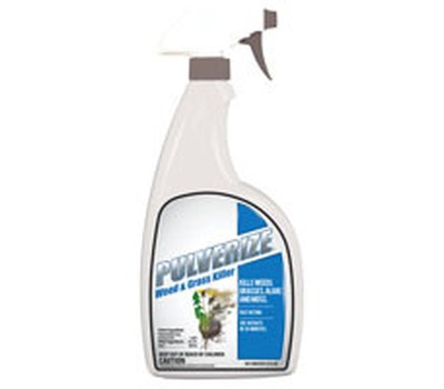 233554 32 oz Weed & Grass Killer