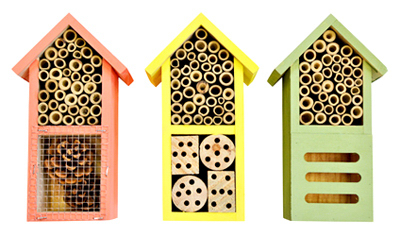 Multi-Chamber Insect House, Red & Green