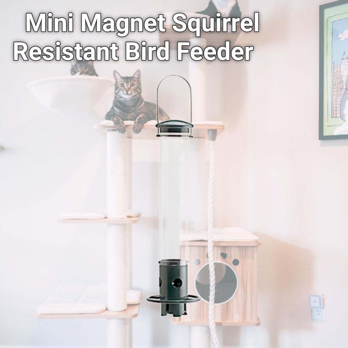 Picture of Woodlink 243020 Mini Magnet Squirrel Resistant Bird Feeder