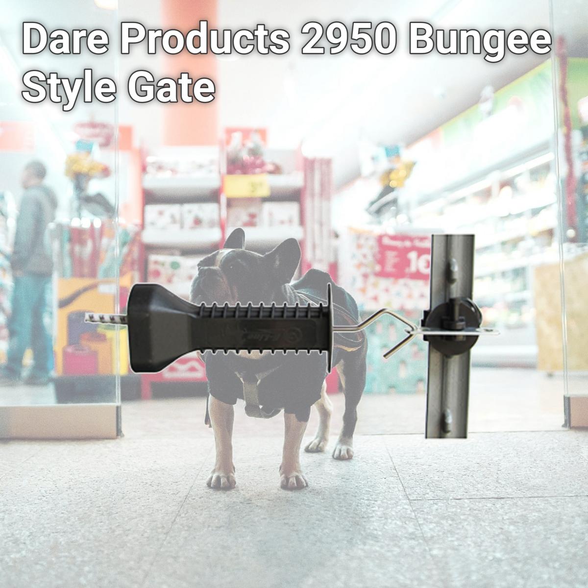 Picture of Dare Products 2950 Bungee Style Gate