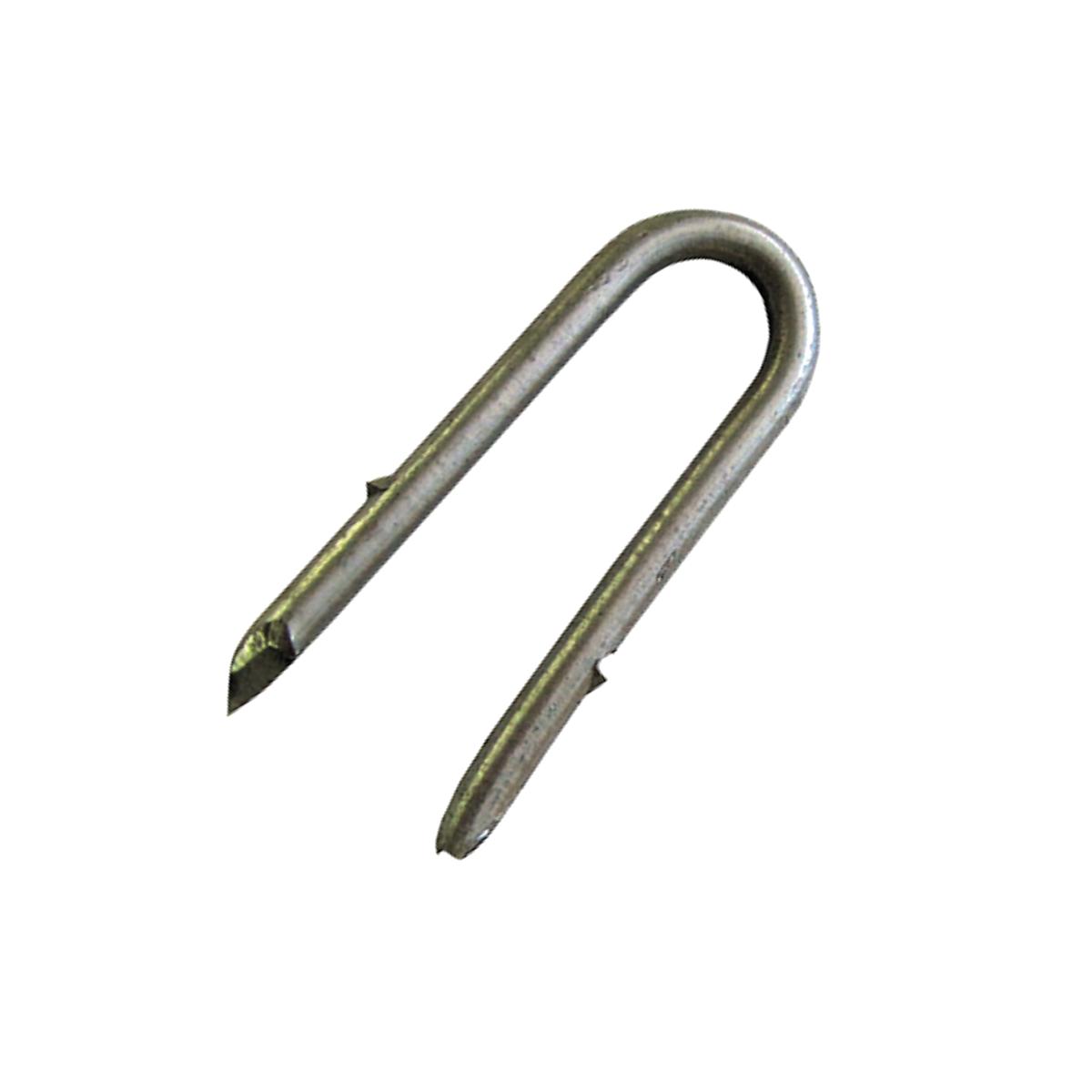 Picture of Dare Products 1692 50 Pack 2 In. 9 Gauge Galvanized Staples