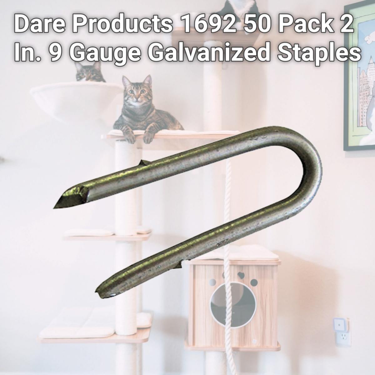Picture of Dare Products 1692 50 Pack 2 In. 9 Gauge Galvanized Staples