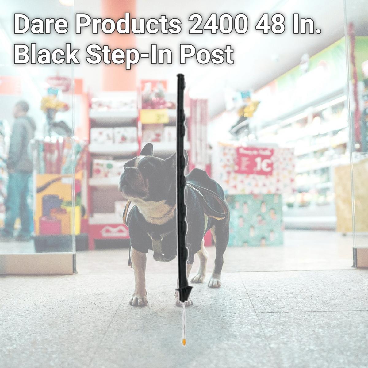 Picture of Dare Products 2400 48 In. Black Step-In Post