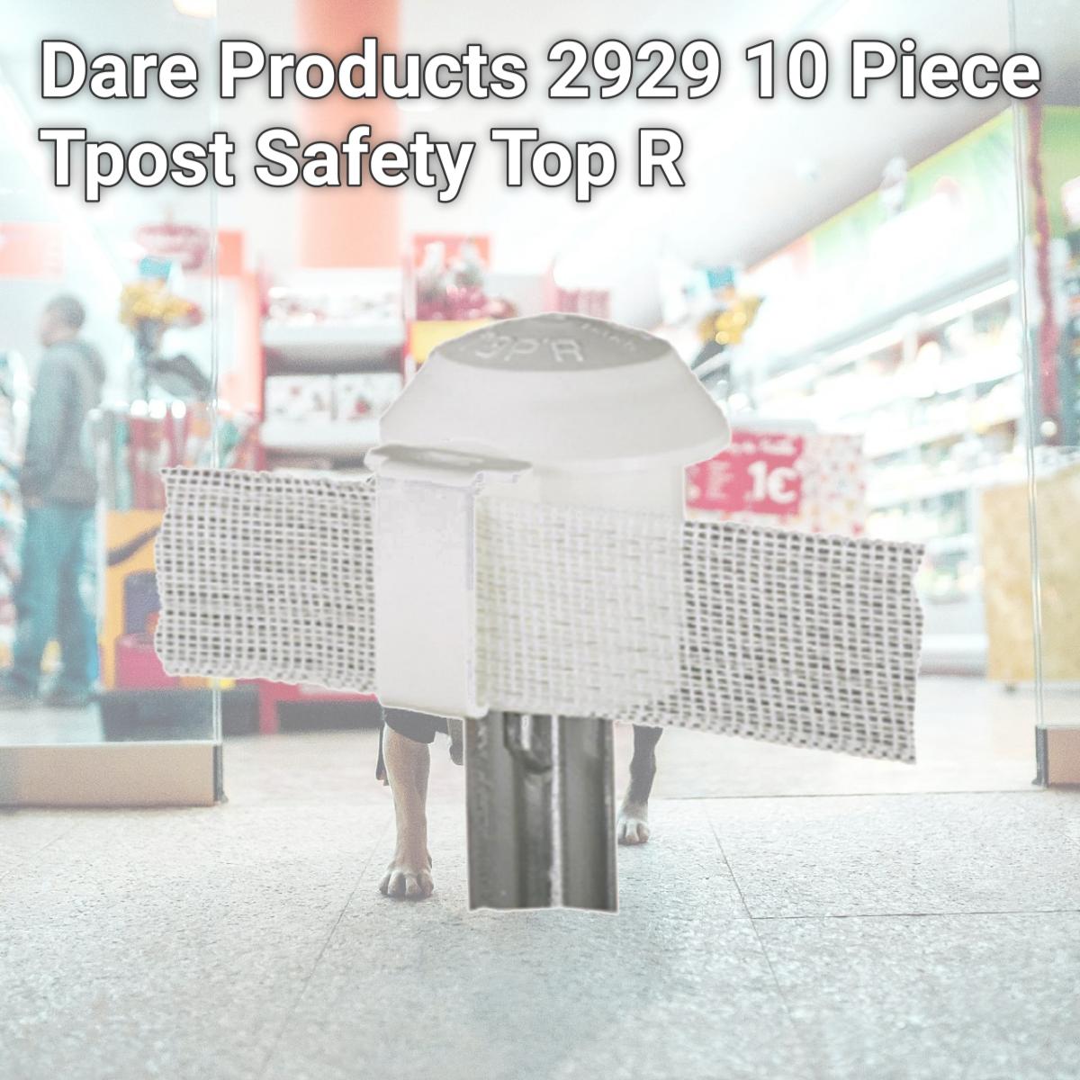 Picture of Dare Products 2929 10 Piece Tpost Safety Top R