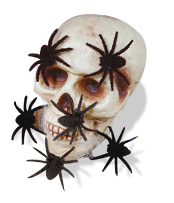 Picture of Easter 238888 Mini Hairy Spiders - Black Pack of 12