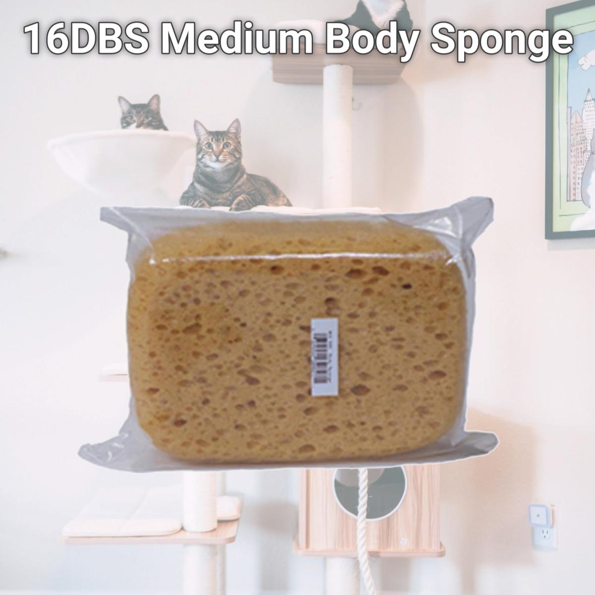 Picture of Decker Mfg 16DBS Medium Body Sponge