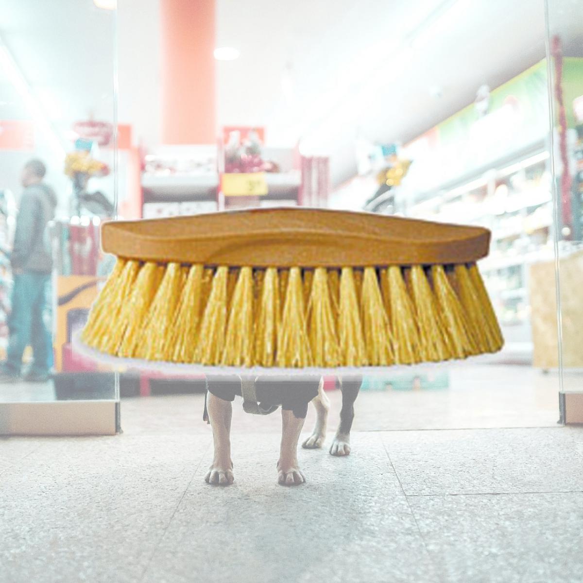 Picture of Decker Mfg 35 Synthetic Grooming Brush