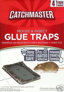 Picture of AP & G 177128 Baited Mouse Glue Trap&#44; Pack of 4